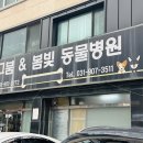 봄빛동물병원 이미지