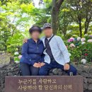 제주도 쏠라티 대절 렌트 기사 포함 제주여행파트너 여행사 후기