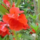 빨강궁전 이미지