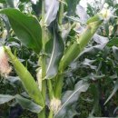 여울유통 이미지