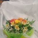 샤론의꽃 이미지
