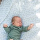 베네베네 이미지