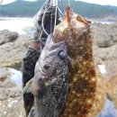 만대편의점 이미지