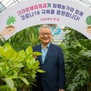 해태플라워