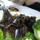구룡포회센타