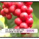 가야펜션민박 이미지