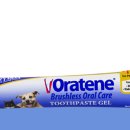 멍냥창고 이미지