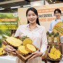 웰빙코리아푸드 이미지