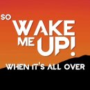 Wake Me Up (Avicii) 이미지