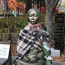 시청앞 가로수길 이미지