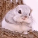 우리 타코 이미지