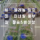 한재미농장 | 세미칼 미나리 한재 미나리 택배 배송 후기