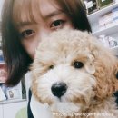 대전종합동물병원 이미지