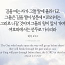미가 이미지