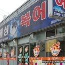 해성복어