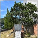 산계2리 이미지