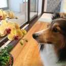 애지중지 이미지