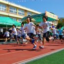 수봉초등학교 이미지