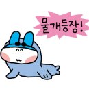 수영-101 이미지