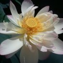 컴퓨터초보 이미지