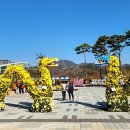 억새2축구장 이미지