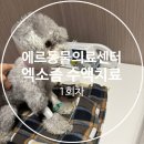 신영재동물병원 인근 | 역삼동물병원 에르동물의료센터 첫 방문, 레이나 엑소좀 기반 재생회복 수액치료 1회차 후기