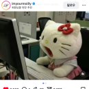 헬로미피자 | [11월] 돌아가기엔 이미 너무 많이 와버렸고