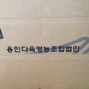혜미농장 네이버블로그