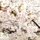 색달동-19 이미지