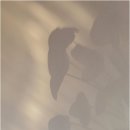 잠이솔솔 이미지