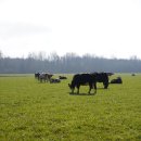 제언농장 이미지