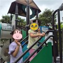비비창의어린이집 | 아이들을 행복하게 키워가는 대전도마동어린이집, 비비창의어린이집의 비밀