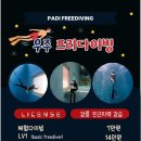 강릉국민체육센터 | 강릉 우주 프리다이빙에서 체험 프다하고 덕다이빙 까지 성공한 후기