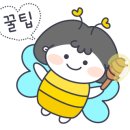 동백아나고 이미지