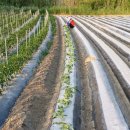 비응항PC 이미지