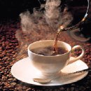 은송이네 이미지