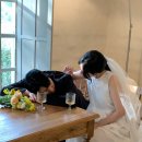 스테이서화 이미지