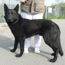 세리 카카오 검색결과