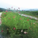 여산마을회관 이미지