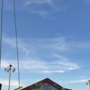 금산인삼 | 금산 인삼 축제 후기!