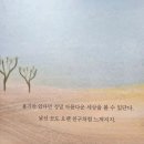 어른/그림책을 만나다 | 동반 알라딘 중고서점] 부산덕천점 에서 &#34;토토와 오토바이&#34; 어른들이 읽어도 좋은 그림동화 책을 만나다.