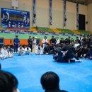 B9주짓수 네이버블로그