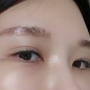올데이래쉬 이미지