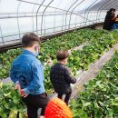 범준농장 이미지