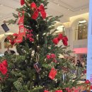 486펫콜 서울종로점 | 추천 뮤지컬펍 7곳 위치 시간 가격 예약링크 후기 총정리╷서울 김포 뮤지컬펍 넘버스테이지 커튼콜...