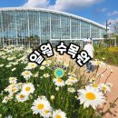 수원 일월수목원 &amp; 일월 저수지 개장/주차장 4곳/예약