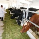 조제농장 이미지