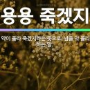 용용죽겠지 이미지