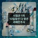 토마토헤어샵 - 서구 승학로271번길 27-1 | 시험관 과배란 1차 주사 13일 완주 후기 : 난자채취 D-2 일상, 호르몬 노예의 현실 브이로그 (feat...