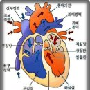 血液 맑게 하는 特效 飮食 이미지